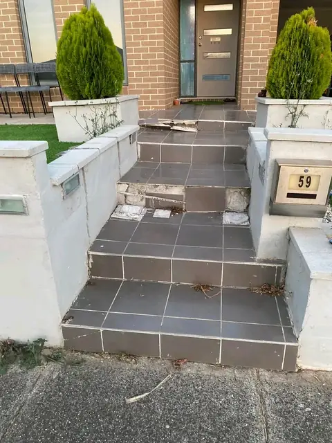 Close-up of grey tiled steps between white rendered walls, with a letterbox on the right and planters with conifers at the top