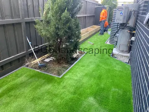 Artificial grass along a narrow passage with timber edging, a conifer, a timber fence and two workers in orange hi-vis